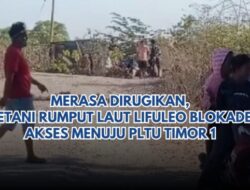Merasa dirugikan, Warga Lifuleo kabupaten Kupang Blokade Akses masuk ke PLTU TIMOR I