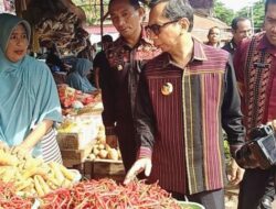 Penjabat Gubernur NTT Tinjau Pasar Alok dan Gudang Beras Bulog Maumere