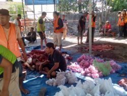 Perayaan Idul Adha di Masjid Darussalam Sikumana: Memperkuat Kepedulian Sosial dan Solidaritas