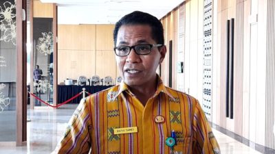 Dolfus Tuames: Sinergi Lintas Sektor Kunci Pemulihan DAS Benain-Noelmina