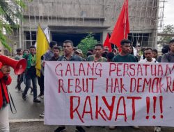 11 Organisasi Domo Tuntut BKSDA NTT Soal TN Mutis