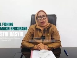 Kadis Perikanan dan Kelautan NTT Klaim Ilegal Fishing Berkurang