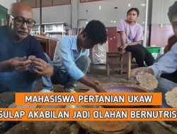 Mahasiswa Fakultas Pertanian UKAW Kupang Sulap Akabilan Jadi Olahan Bernutrisi