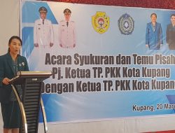 Dr. Widya Cahya: Kepemimpinan PKK Kota Kupang Bukan Tentang Super Power