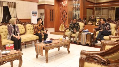 Gubernur NTT Terima Audiensi Kepala Basarnas Kupang