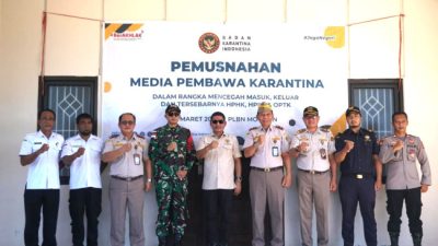 Karantina NTT Musnahkan Komoditas Hewan, Ikan dan Tumbuhan  asal Timor Leste