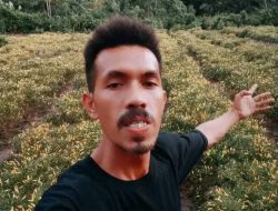 Peter Salem: Petani Muda TTS yang Menginspirasi Perubahan