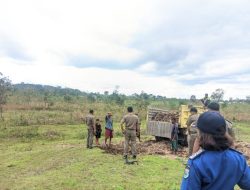 Satpol PP TTS Tertibkan Penggali Matrial Liar di Lokasi Civic Center