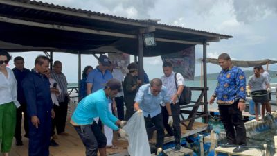 Gubernur NTT Tinjau Budidaya Hasil Laut di Pulau Semau
