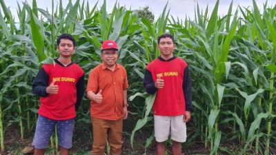 PT Silvano Maynard Jaya Dorong Transformasi Pertanian melalui Pemberdayaan dan Inovasi