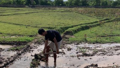 Proyek Strategis Inpres 2/2025, 80 Jaringan Irigasi di NTT Direhabilitasi