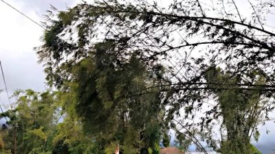 Perjuangan Menembus Cuaca Ekstrem: PLN Pulihkan Listrik Manggarai Demi Terang di Bulan Ramadan