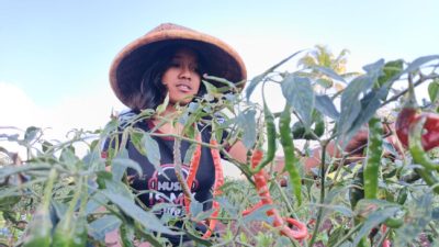 Siswi SMA di TTS Pilih Belajar Bertani, Siapkan Masa Depan dari Kebun