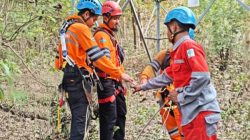 Jaga Terang di Bumi Flobamorata Jelang HUT RI ke-81, Tim PLN Bergerak Cepat Ganti Isolator Tower Transmisi Naibonat–Nonohonis