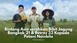 IMG 20260722 WA0004
