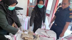 Hendak Dikirim ke Lombok, 1.230 Kg Daging Hiu Tanpa Sertifikat Diamankan